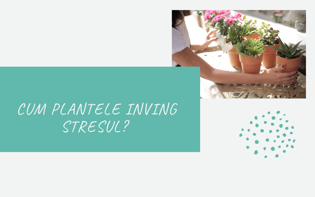 Cum plantele inving stresul?