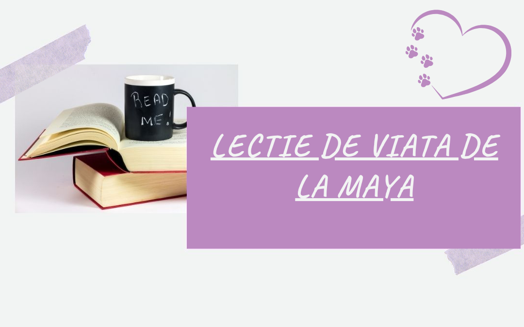 Lectie de Viata de la Maya