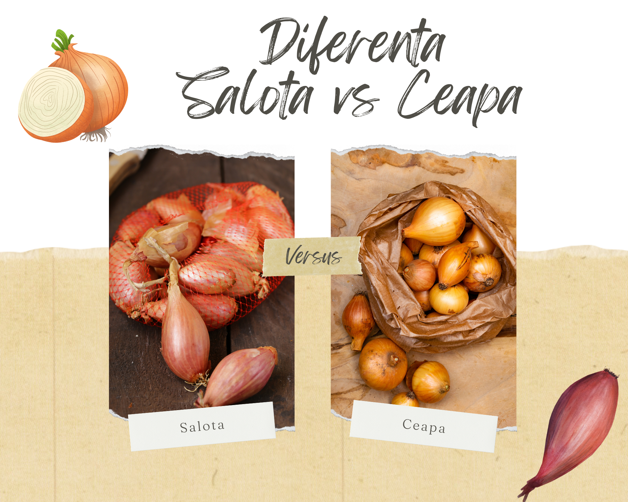 Salota vs. Ceapa: Care Este Diferenta